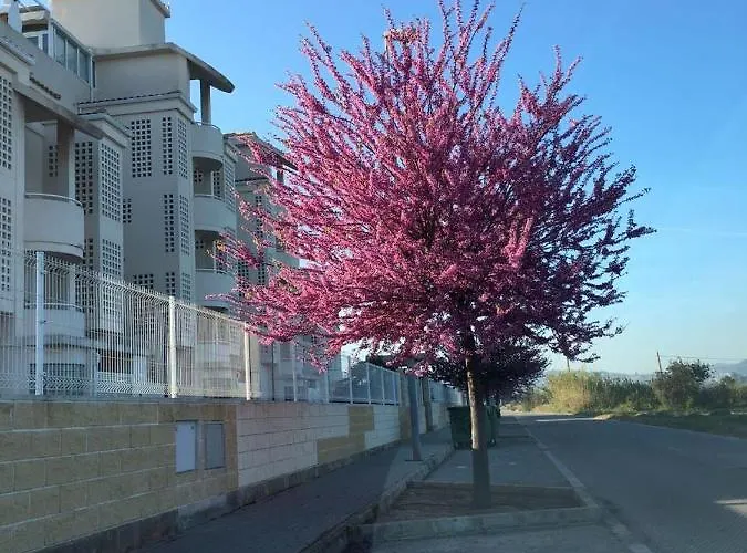 Planta Baja Playa Sol 2 Apartmán Denia